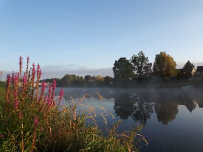 Mist on the Cher- A. Clément