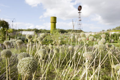 Château de la Bourdaisière vegetable garden, windmill- S.FREMONT - ADT Touraine